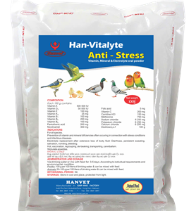 Han – Vitalyte